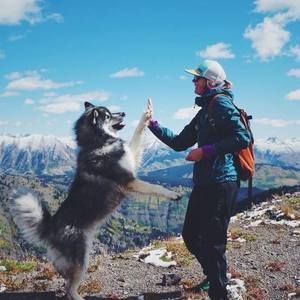 Meet your Posher, Tori